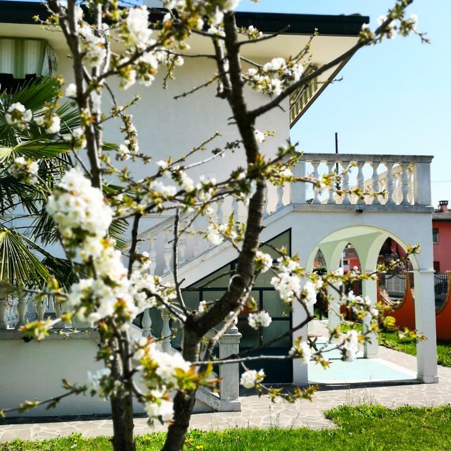 Casa Del Vigneto - New Near Venice - Rooms+Bathroom - Independent スピネーア エクステリア 写真